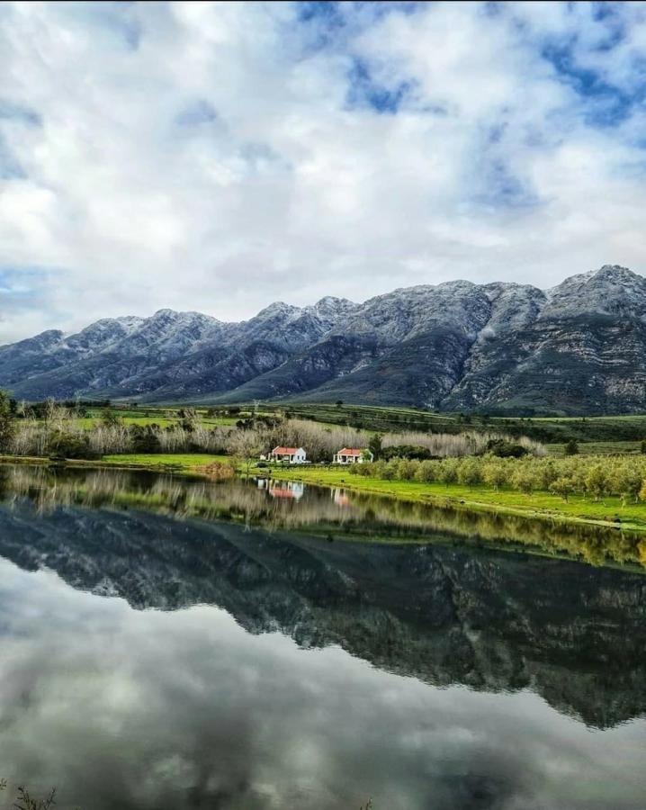 Fraaigelegen Farm - Home Of Adhara Evoo Tulbagh Kültér fotó