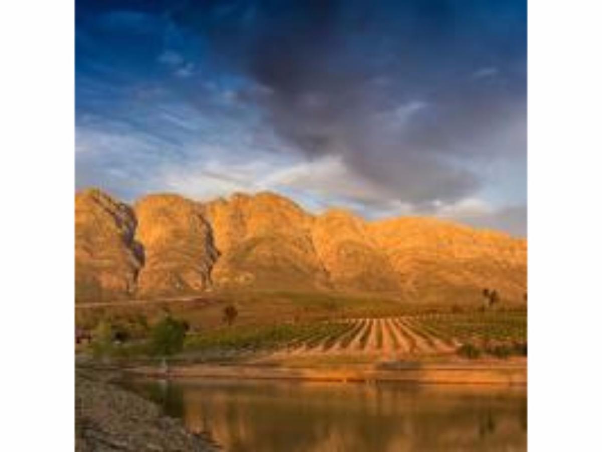 Fraaigelegen Farm - Home Of Adhara Evoo Tulbagh Kültér fotó